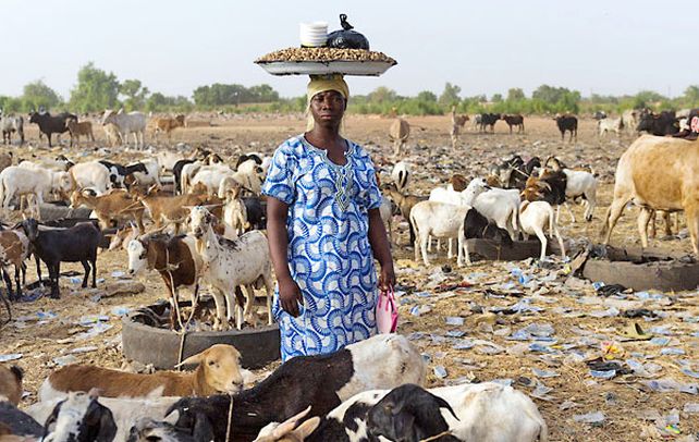 En el campo. El 80 por ciento de la población de Burkina Faso vive del trabajo agrícola de subsistencia.