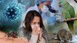 Aumentan los casos de gripe A en Santa Fe y alertan por el crecimiento de la psitacosis y la leptospirosis