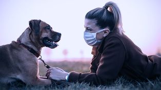 Alertan sobre la importancia de cuidar la salud animal para controlar futuras epidemias