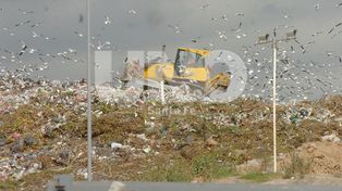 Santa Rosa, Arroyo Leyes y Rincón traerán sus residuos a Santa Fe