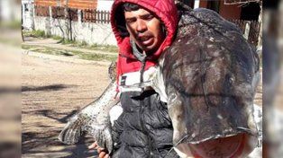 Un pescador de Federación logró pescar un surubí de más de 40 kilos en el río Uruguay y se lo llevó al hombro a su casa. Las fotos de sus vecinos se viralizaron