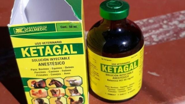 Qué es la ketamina, la droga que robaron de la Secretaría de Salud de Villa Gobernador Gálvez
