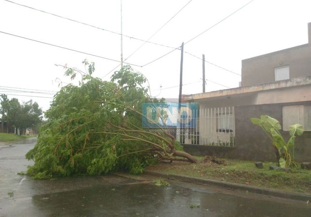 Terrible temporal de lluvia y viento generó graves destrozos en Paraná