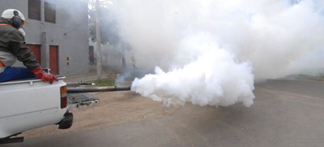 Dengue: hay 18 casos aut&oacute;ctonos y llegan operativos al oeste y noroeste