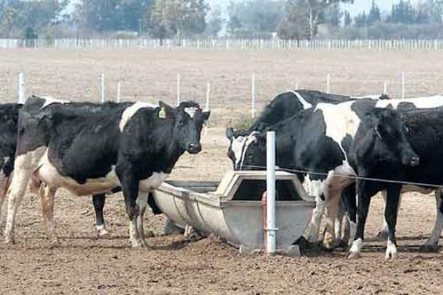 La provincia declaró la emergencia agropecuaria