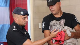 &nbsp;Diego Santamaría, jefe del CRE y Daniel Ojeda Medina, de rescate animal, hablaron sobre el operativo