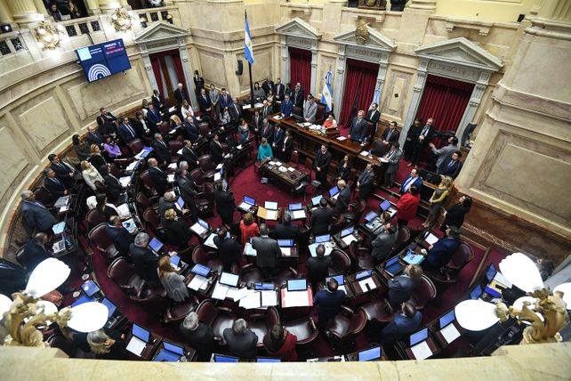 La Cámara de Senadores aprobó la baja de la edad de imputabilidad de 16 a 14 años.