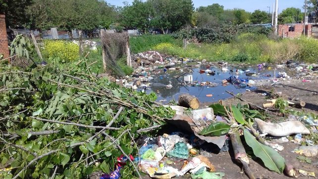 En sitios donde hay maderas y escombros hay que tener precaución ante la presencia de alacranes.