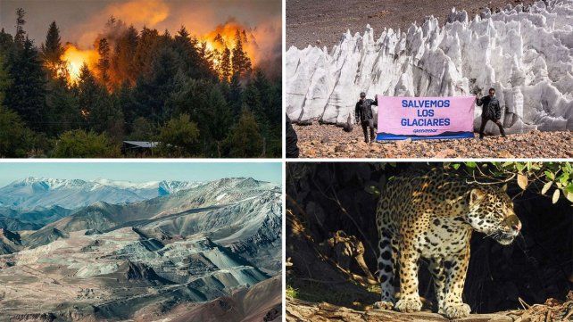 Día Mundial del Ambiente y el desafío para enfrentar el cambio climático