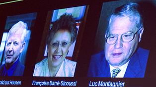 Medicina: Nobel para un alem&aacute;n y dos franceses por estudios de c&aacute;ncer y sida