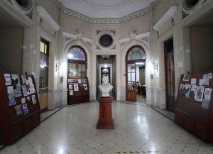 Día del Bibliotecario: la tarea de quienes mantienen viva la palabra escrita
