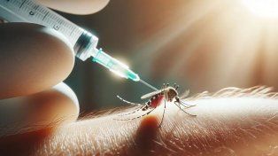 La Defensoría pide informes sobre la cobertura de Iapos sobre el dengue
