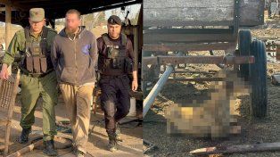 Santiago C., detenido por el brutal asesinato de una perra galga embarazada, junto a la evidencia del caso.