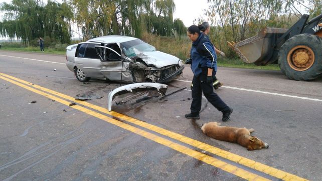 Por esquivar un perro, dos autos chocaron de frente en la Ruta 40