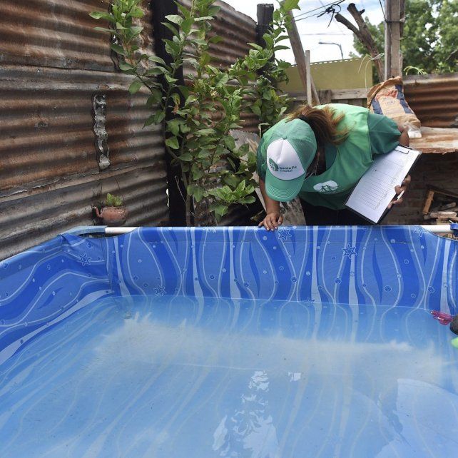 Dengue en Santa Fe: hallaron huevos del mosquito transmisor de la enfermedad en Guadalupe Oeste y Los Hornos