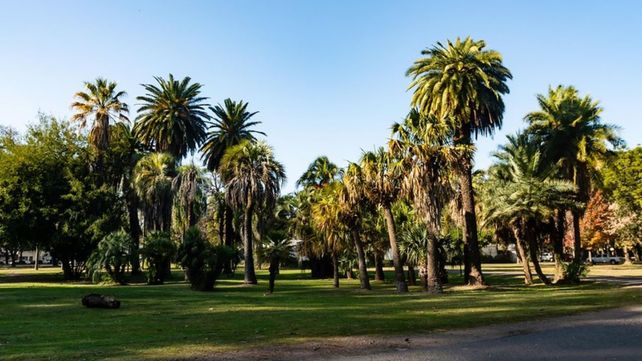&nbsp;Lidia Calderón dictará un taller sobre palmeras ornamentales en la Escuela de Jardinería Juan A. Domínguez.&nbsp;