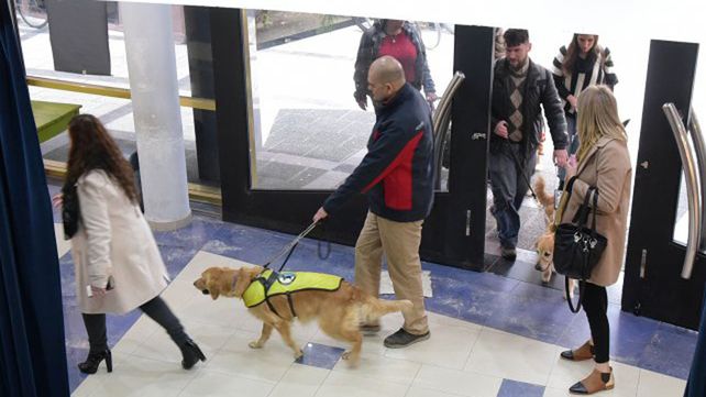 Perros guía para ciegos, una herramienta que cobra cada vez más valor
