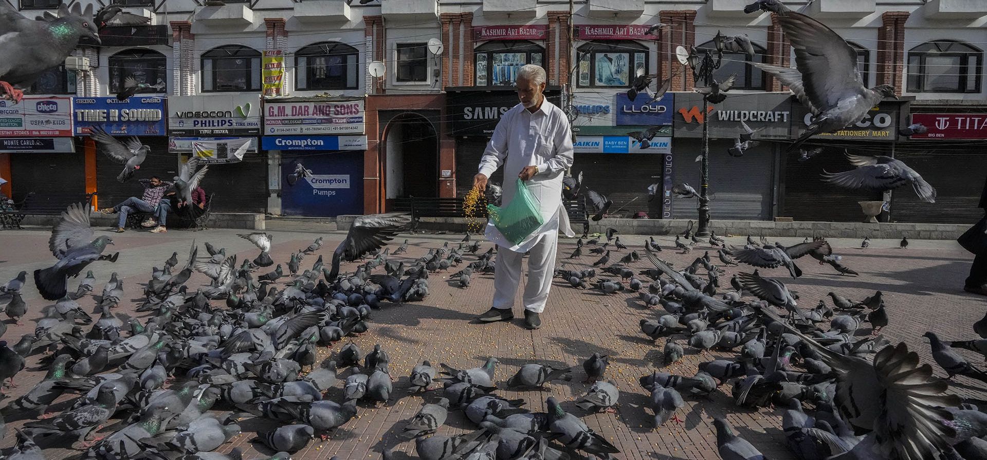 Un hombre alimenta palomas en un mercado en Srinagar, Cachemira india. La tradición centenaria de la cría de palomas se ha mantenido arraigada en los barrios antiguos de Srinagar, donde las bandadas de palomas en los tejados, en los patios de las mezquitas y los santuarios y los mercados alrededor son una vista común. Muchos de estos están domesticados, criados por uno de los miles de criadores de palomas que hay allí.