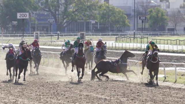 De no creer. El caballo