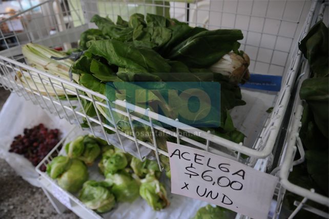 Tras las heladas y faltante, subió el precio de la verdura de hoja en la ciudad