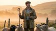 Hugh Jackman protagoniza Las ovejas detectives, que se convirtió sorpresivamente en una de las películas del año. Hugh Jackman protagoniza Las ovejas detectives, que se convirtió sorpresivamente en una de las películas del año.