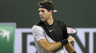 El posible camino de Del Potro en Miami