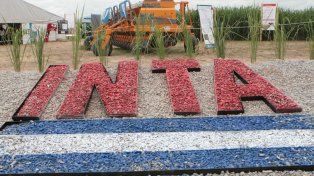 El INTA vuelve a estar en la mira de ajuste del Gobierno nacional