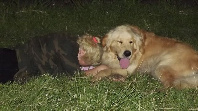 Una madre ofrece su auto como recompensa para quien le devuelva a su perro