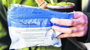 Uruguay ahora piensa en tiendas de venta de cannabis