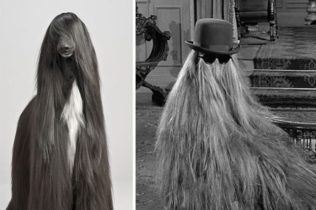 Personas, animales y objetos que son similares entre sí