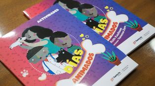 Unos 150 mil libros ya comenzaron a llegar a las escuelas de la provincia.