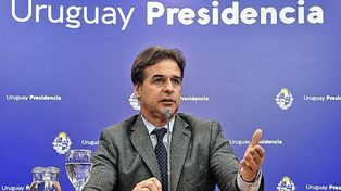 Uruguay votó una ley que limita las plantaciones forestales