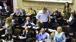 Celebran la media sanci&oacute;n del proyecto que condena el femicidio