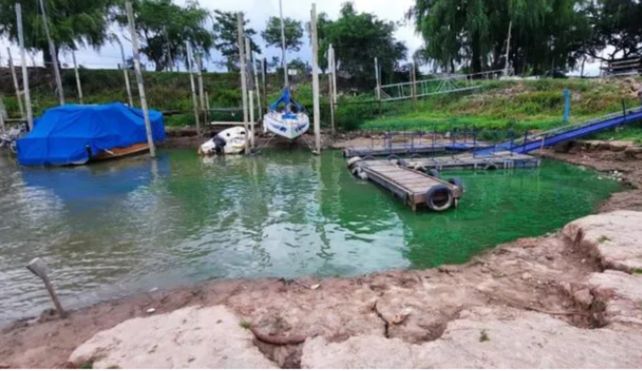 Recomiendan no ingresar a zonas del río Paraná donde se detecten manchas verdes en la superficie