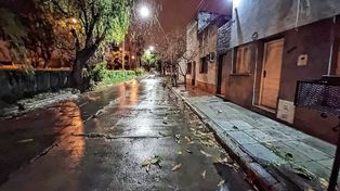 Entradera en barrio Sargento Cabral: robaron dólares y pesos