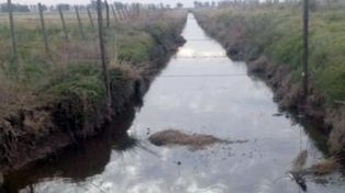 Proponen duras sanciones para quienes hagan canales clandestinos