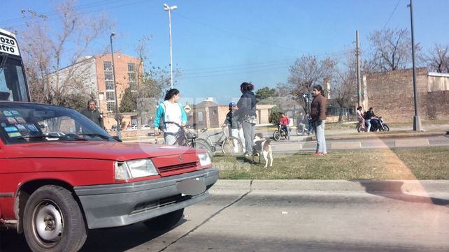 Fuerte accidente en el Metrofe de avenida Blas Parera por una mala maniobra al volante