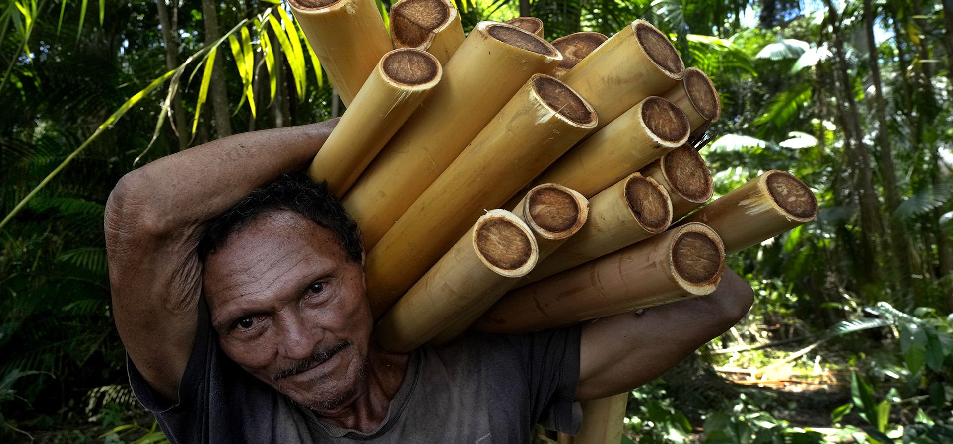 Un recolector transporta corazones de palma de acai para la venta en una isla en el archipiélago de Bailique, distrito de Macapa, estado de Amapá, norte de Brasil, el sábado 10 de septiembre de 2022. Los cambios en la región también son una amenaza creciente para el palmeras de acai omnipresentes. En muchos lugares, la erosión del mar se los está llevando. Y en áreas más cercanas al mar, las bayas de acai comenzaron a tener un sabor diferente.