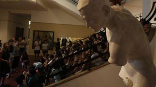 El Castagnino incorpora un zócalo y se expande con más de 2 millones de dólares