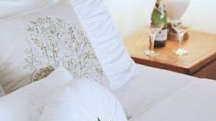 Cómo es el primer hotel cuya principal atracción es el cultivo y consumo libre de marihuana
