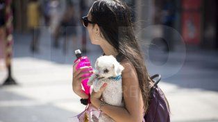 Alerta amarilla por calor en Victoria y Gualeguay