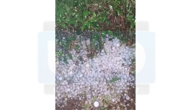 Granizo causó graves daños en Colonia Merou e inmediaciones