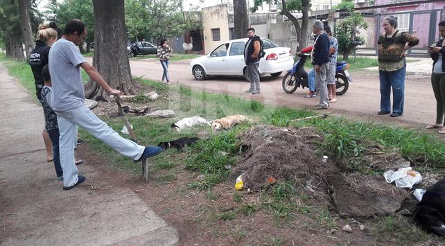Crédito: Facebook Vale Gringa