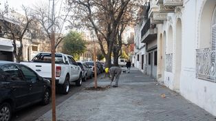 Más cuidados. El objetivo es que los frentistas se comprometan con el regado de los jóvenes árboles.