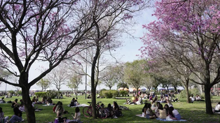 Días primaverales en Rosario, antesala de un fin de semana pasado por agua