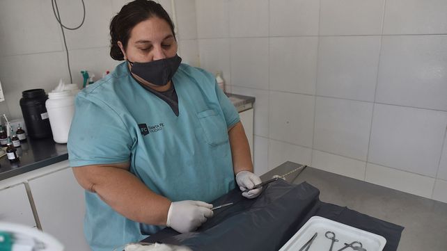 Trabajos de iluminación y bacheo previstos para este lunes