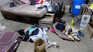 Trata y explotación en un campo de frutillas: piden 8 años de prisión para un productor santafesino