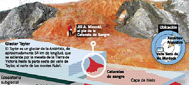 Descubren bacterias que viven sin luz ni ox&iacute;geno bajo el hielo ant&aacute;rtico