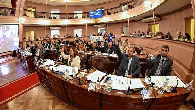 Diputados aprobó la adhesión a la ley nacional de autismo