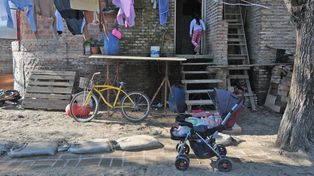 Estudio pionero sobre leptospirosis con familias santafesinas